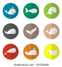 Vector group of whales in the circle on white background