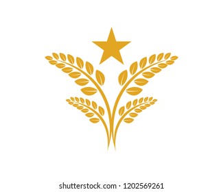 Vector Growing Plant Agriculture wheat Grain and Stars Sign Symbol Icon Logo Template Design Inspiration