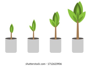 Vektorillustration, die in der Tasche auf weißem Hintergrund wächst, das Leben wächst wie ein Baum 