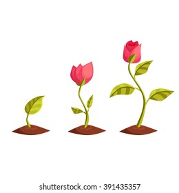 Vector growing sprout illustration isolated on white