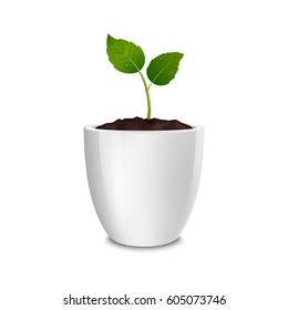 Vector growth concept. Design template of realistic icon of the sprout in a white flower pot, isolated on white background. EPS10.