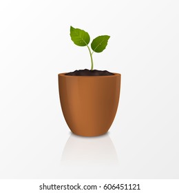 Vector growth concept. Design template of realistic icon of the sprout in a brown flower pot, isolated on white background. EPS10.