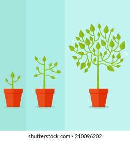 Vector growth concept - infographic in flat style