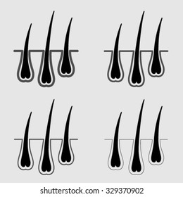 vector growth hair follicle icon