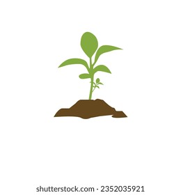
vector growth of newly plant 