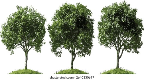 Vector growth trees forest set, environmental, transparent background, forested landscape, nature icons, eco friendly graphics, sustainable design, nature vector, eco trees.
