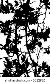Vector grunge background. Branches of a tree with leaves and flowers.