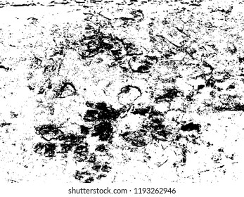 Vector Grunge black ink paint.for new design or brush,happening art at Transparent Effect Background.Monochrome texture