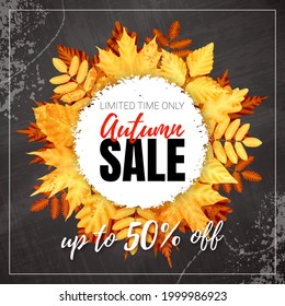 Vector Grunge Discount Banner. Text Autumn Sale. Yellow Maple, Oak and Rowan Leaves. Fall Wreath. White Round Brush Stroke. Blackboard Texture.