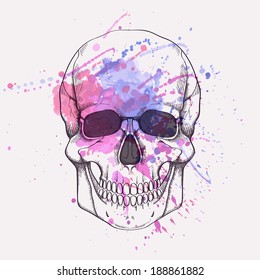 Vector grunge illustration of human skull with watercolor splash