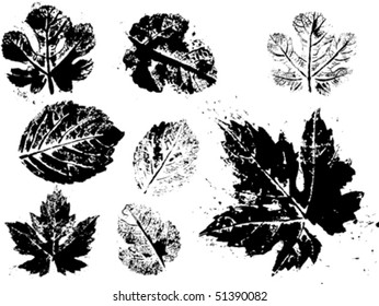 vector grunge leaves