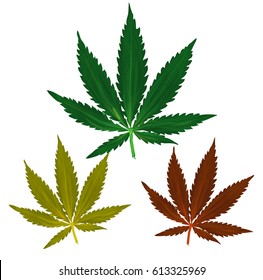 Vetor grunge ícone de maconha definido em cores verde, vermelho e amarelo