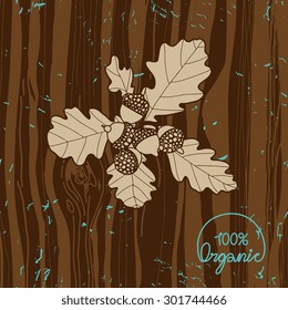 Vector grunge organic icon with acorns, oak leaves and wood texture