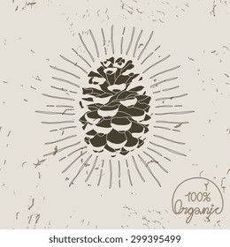 Vector grunge organic icon with pine