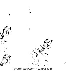 Vector grunge overlay texture. Black and white background