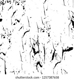 Vector grunge overlay texture. Black and white background