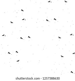 Vector grunge overlay texture. Black and white background