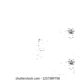 Vector grunge overlay texture. Black and white background
