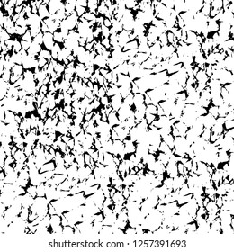 Vector grunge overlay texture. Black and white background