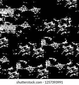 Vector grunge overlay texture. Black and white background
