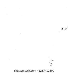 Vector grunge overlay texture. Black and white background