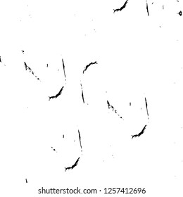 Vector grunge overlay texture. Black and white background