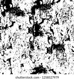 Vector grunge overlay texture. Black and white background