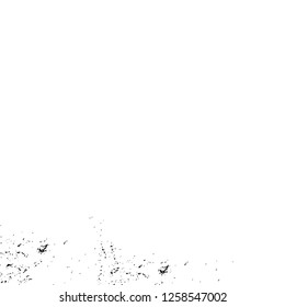 Vector grunge overlay texture. Black and white background