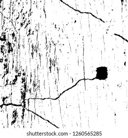 Vector grunge overlay texture. Black and white background