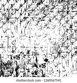 Vector grunge overlay texture. Black and white background