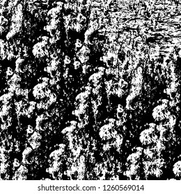 Vector grunge overlay texture. Black and white background