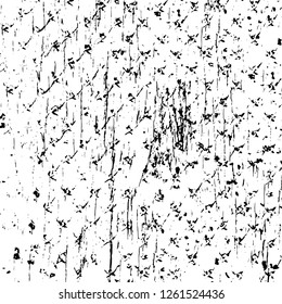 Vector grunge overlay texture. Black and white background