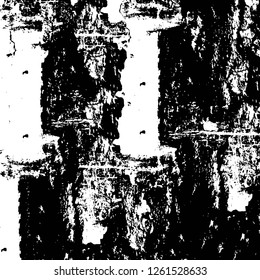 Vector grunge overlay texture. Black and white background