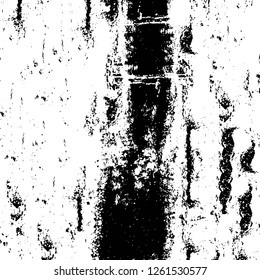Vector grunge overlay texture. Black and white background
