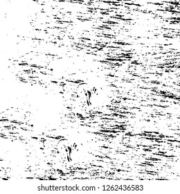 Vector grunge overlay texture. Black and white background