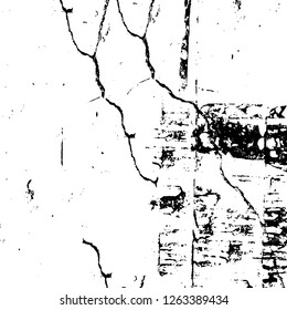 Vector grunge overlay texture. Black and white background