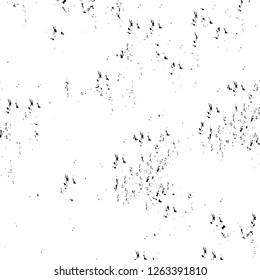 Vector grunge overlay texture. Black and white background