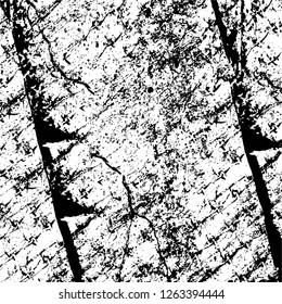 Vector grunge overlay texture. Black and white background