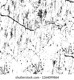 Vector grunge overlay texture. Black and white background. Abstract monochrome image includes a faded effect in dark tones