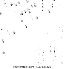 Vector grunge overlay texture. Black and white background. Abstract monochrome image includes a faded effect in dark tones