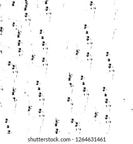 Vector grunge overlay texture. Black and white background. Abstract monochrome image includes a faded effect in dark tones