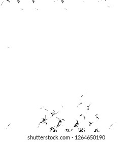 Vector grunge overlay texture. Black and white background. Abstract monochrome image includes a faded effect in dark tones