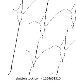 Vector grunge overlay texture. Black and white background. Abstract monochrome image includes a faded effect in dark tones