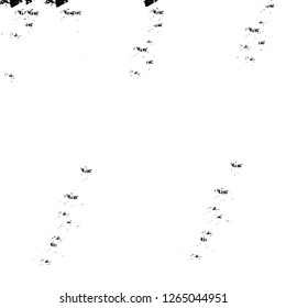 Vector grunge overlay texture. Black and white background. Abstract monochrome image includes a faded effect in dark tones
