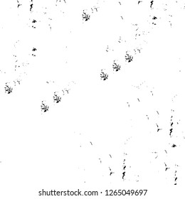 Vector grunge overlay texture. Black and white background. Abstract monochrome image includes a faded effect in dark tones