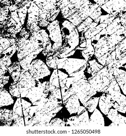 Vector grunge overlay texture. Black and white background. Abstract monochrome image includes a faded effect in dark tones