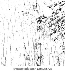 Vector grunge overlay texture. Black and white background. Abstract monochrome image includes a faded effect in dark tones
