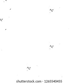 Vector grunge overlay texture. Black and white background. Abstract monochrome image includes a faded effect in dark tones