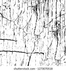 Vector grunge overlay texture. Black and white background. Abstract monochrome image includes a faded effect in dark tones