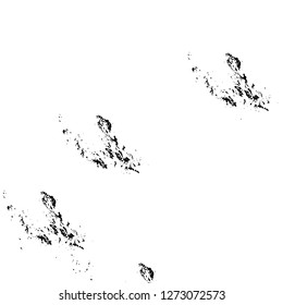 Vector grunge overlay texture. Black and white background. Abstract monochrome image includes a faded effect in dark tones